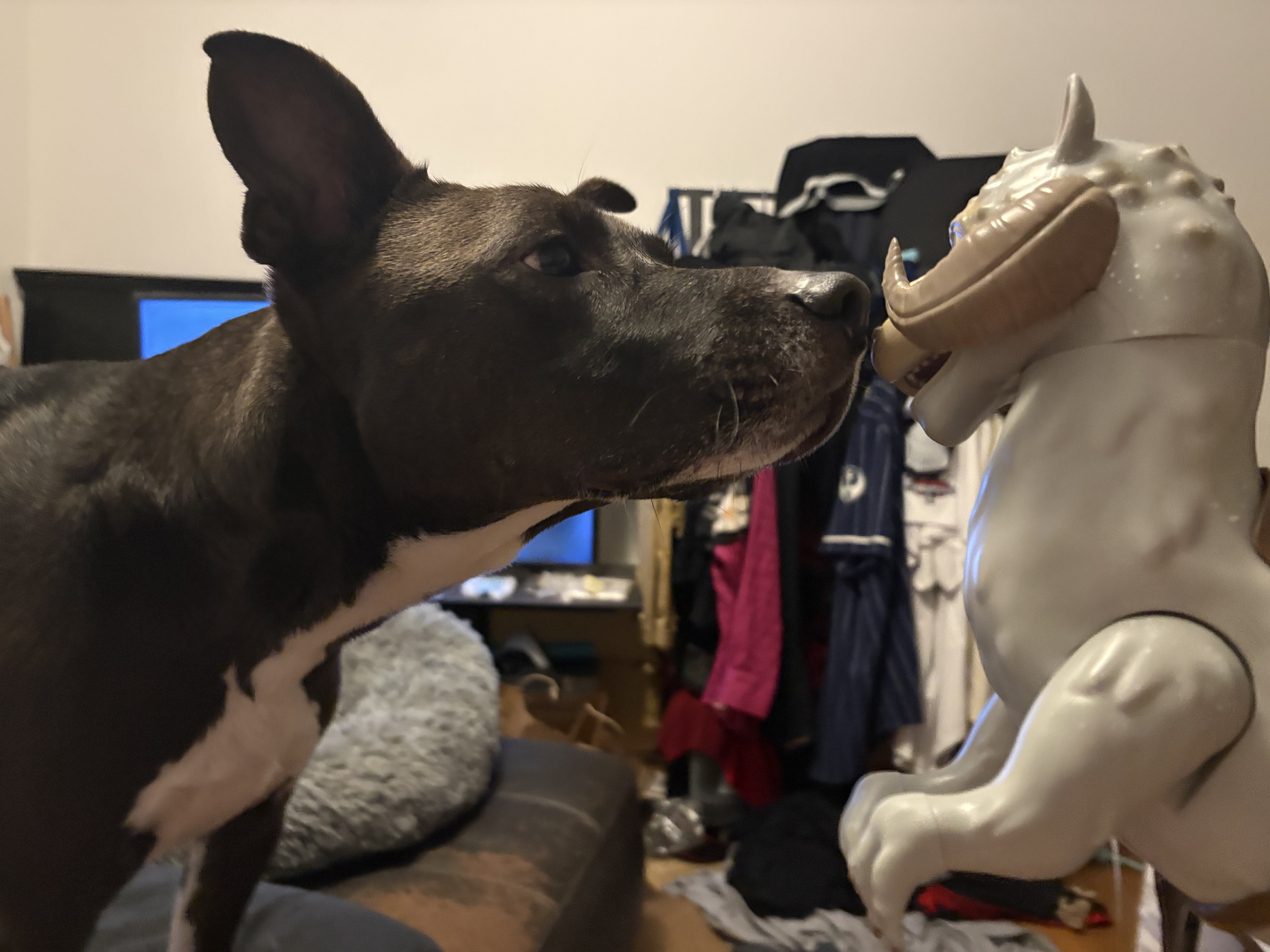 Jaimo and Tauntaun